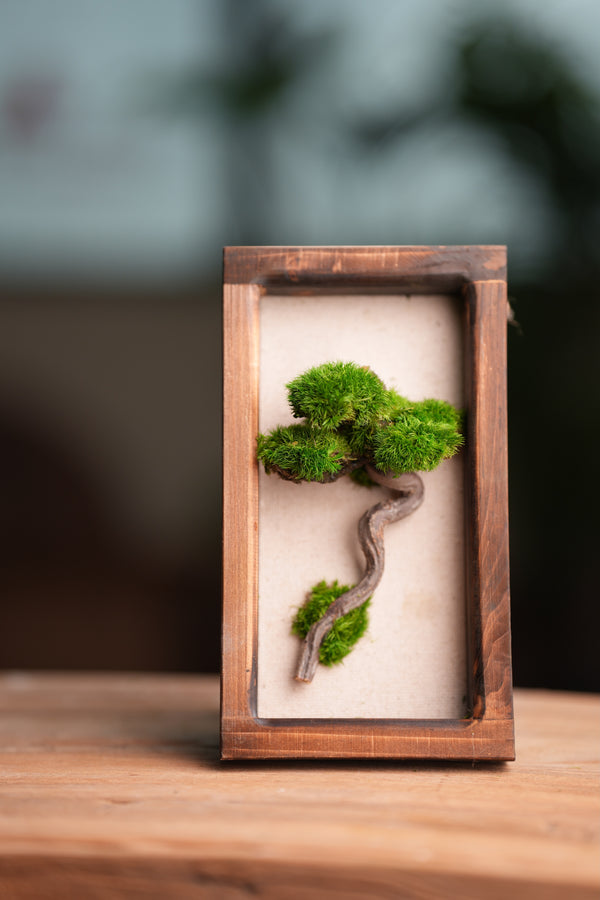 A Small Tree in the East - Wall Hanging edition (Preserved Plants)