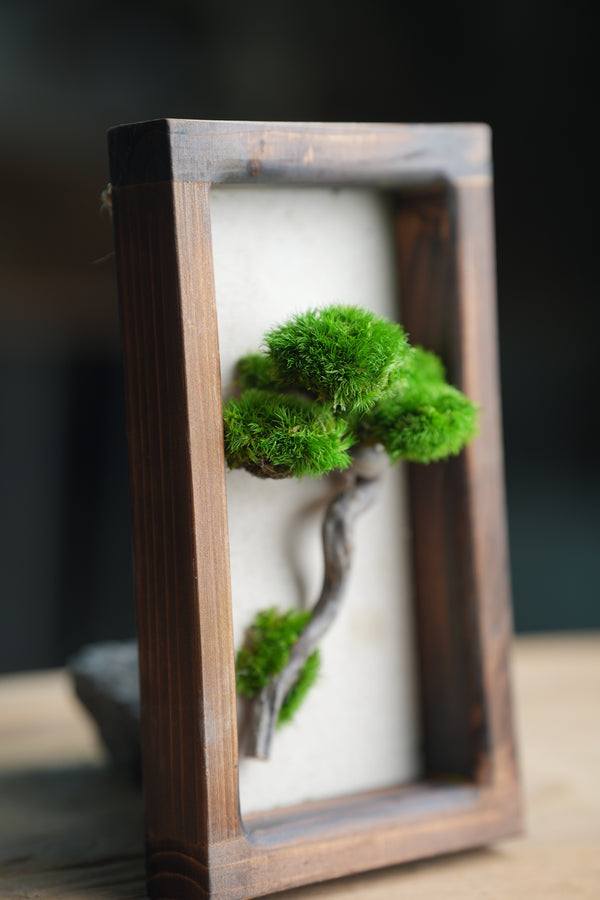 A Small Tree in the East - Wall Hanging edition (Preserved Plants)