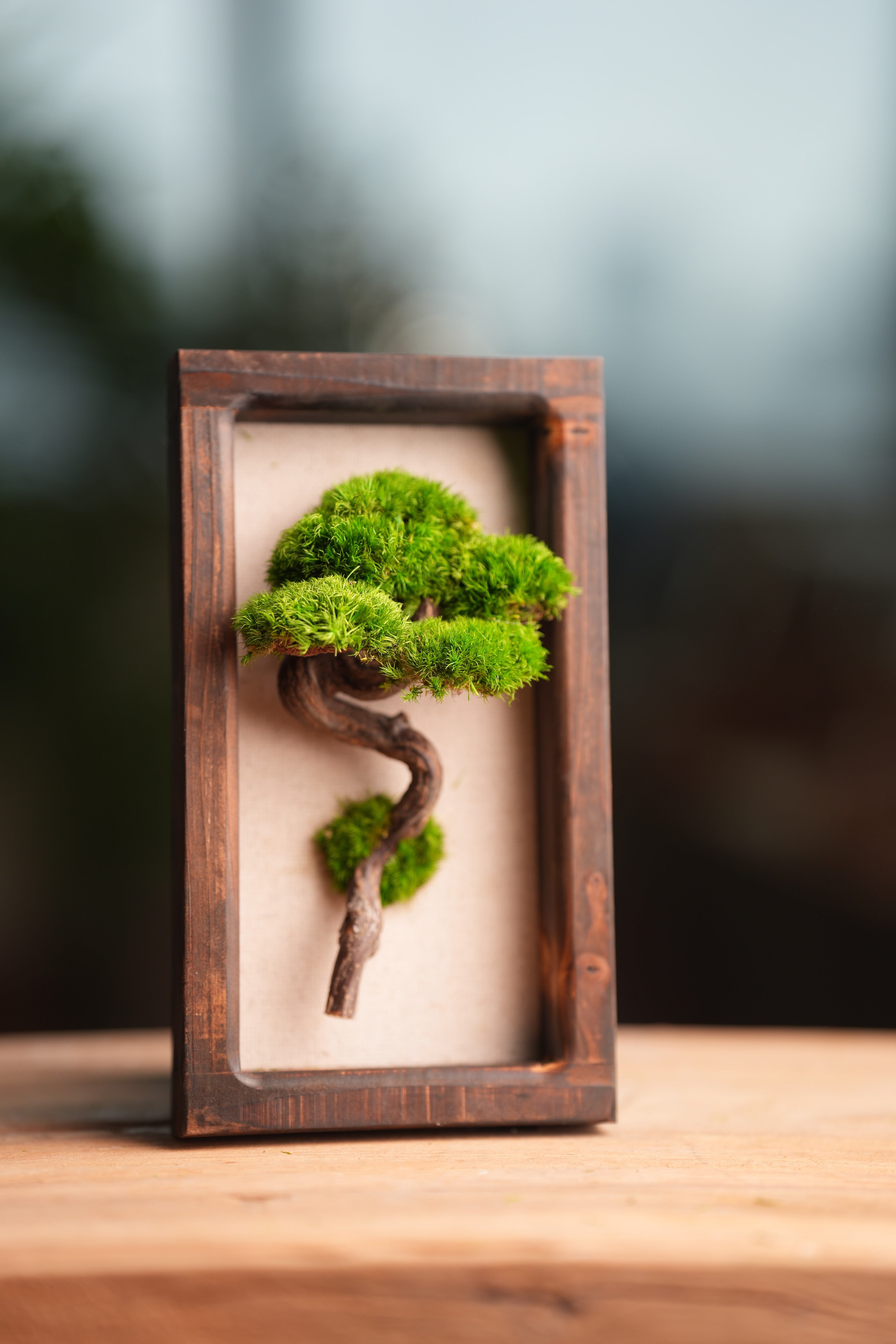 A Small Tree in the East - Wall Hanging edition (Preserved Plants)