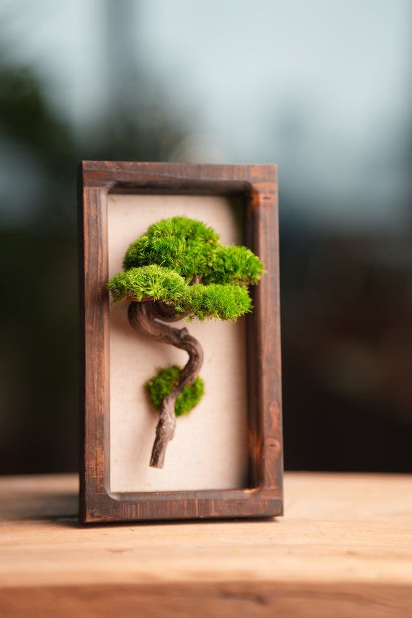 A Small Tree in the East - Wall Hanging edition (Preserved Plants)
