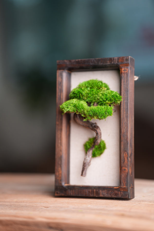 A Small Tree in the East - Wall Hanging edition (Preserved Plants)