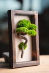 A Small Tree in the East - Wall Hanging edition (Preserved Plants)