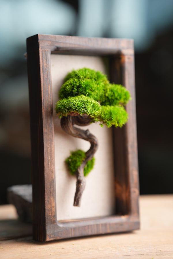 A Small Tree in the East - Wall Hanging edition (Preserved Plants)