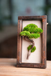 A Small Tree in the East - Wall Hanging edition (Preserved Plants)