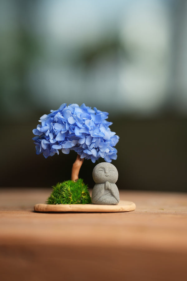 A Small Tree in the East - Blue Dream - Journeyman (Preserved Plants)