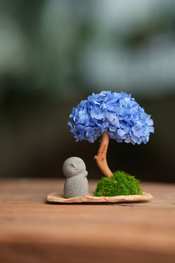 A Small Tree in the East - Blue Dream - Journeyman (Preserved Plants)
