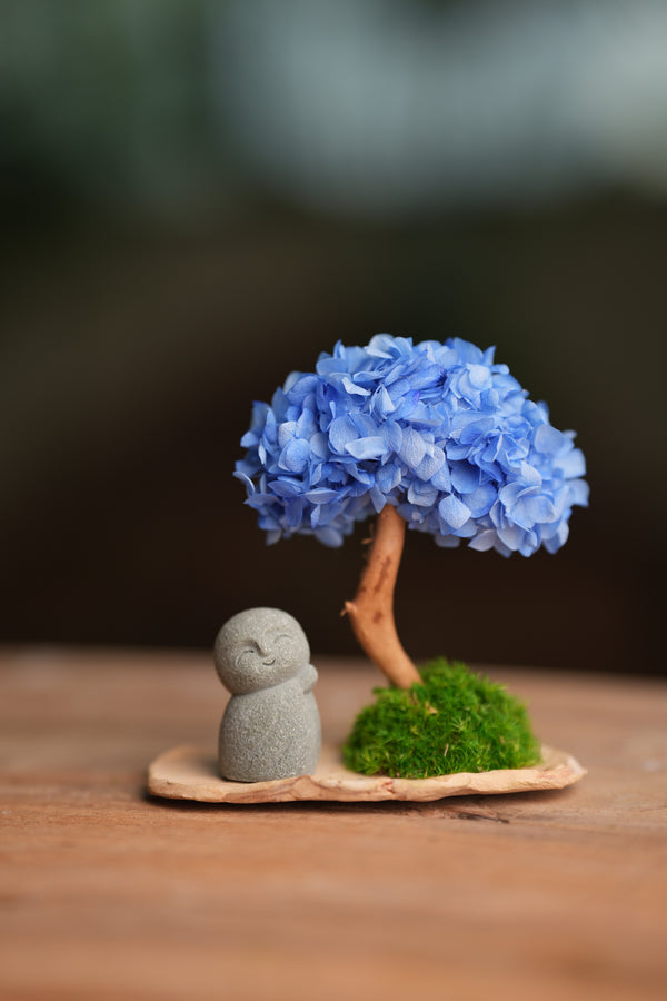 A Small Tree in the East - Blue Dream - Journeyman (Preserved Plants)