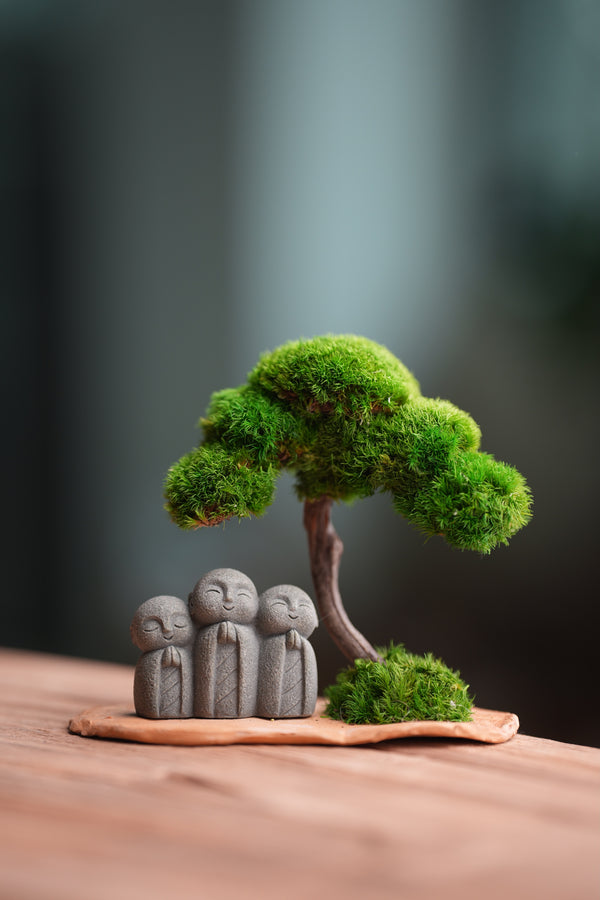 A Small Tree in the East - Classic - Journeyman (Preserved Plants)