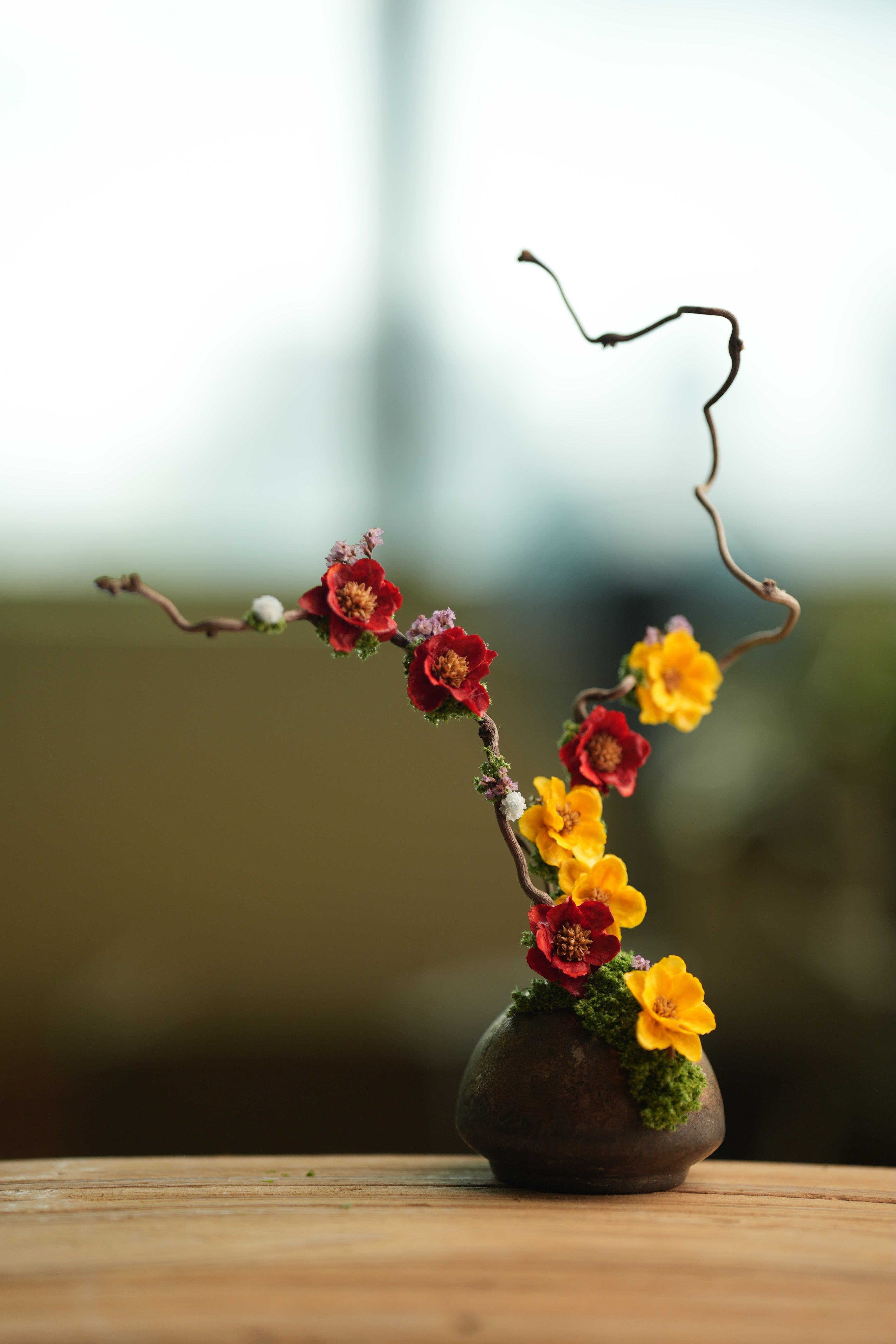 Children of the Forest - Vibrant (Preserved Plants)