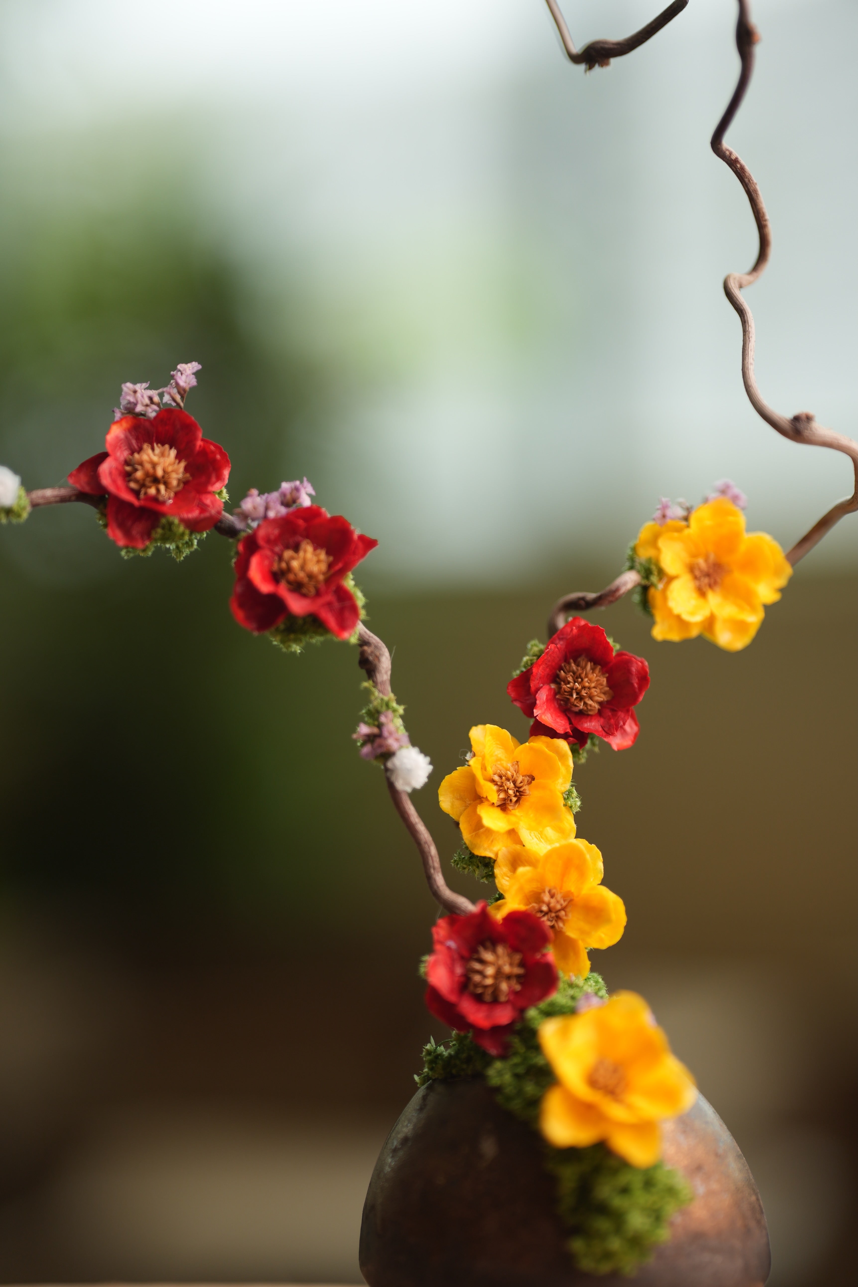 Children of the Forest - Vibrant (Preserved Plants)