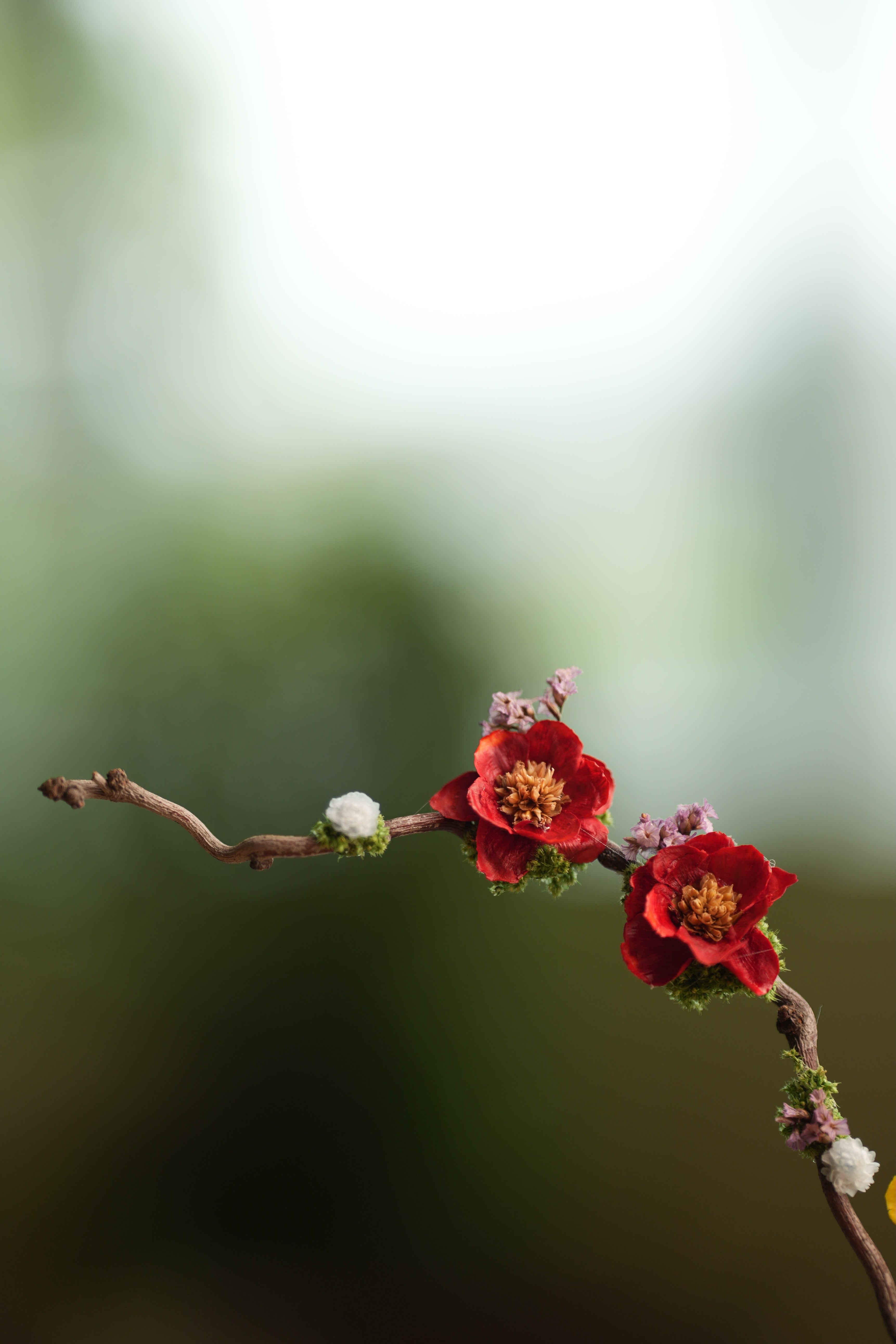 Children of the Forest - Vibrant (Preserved Plants)