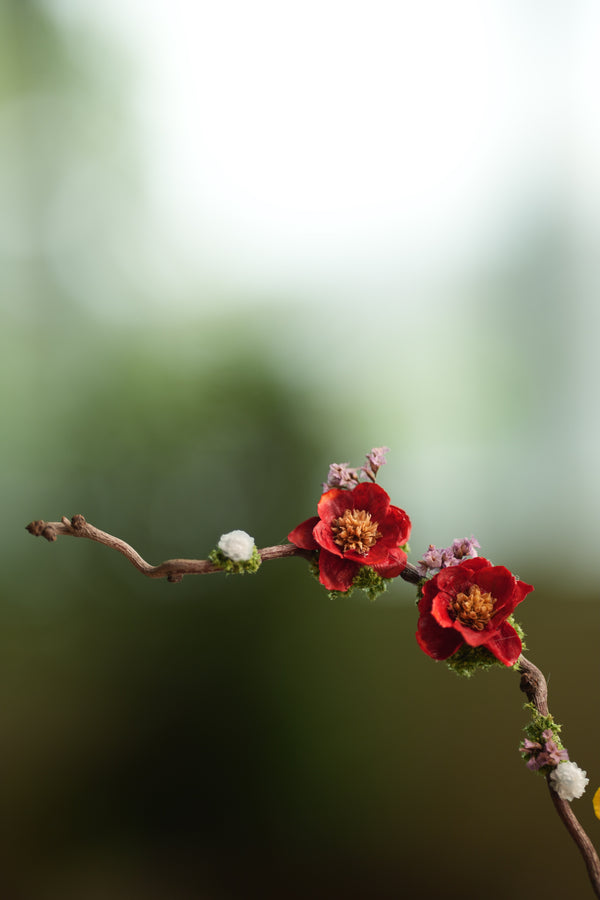 Children of the Forest - Vibrant (Preserved Plants)