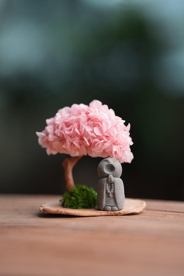 A Small Tree in the East - Sakura - Journeyman (Preserved Plants)
