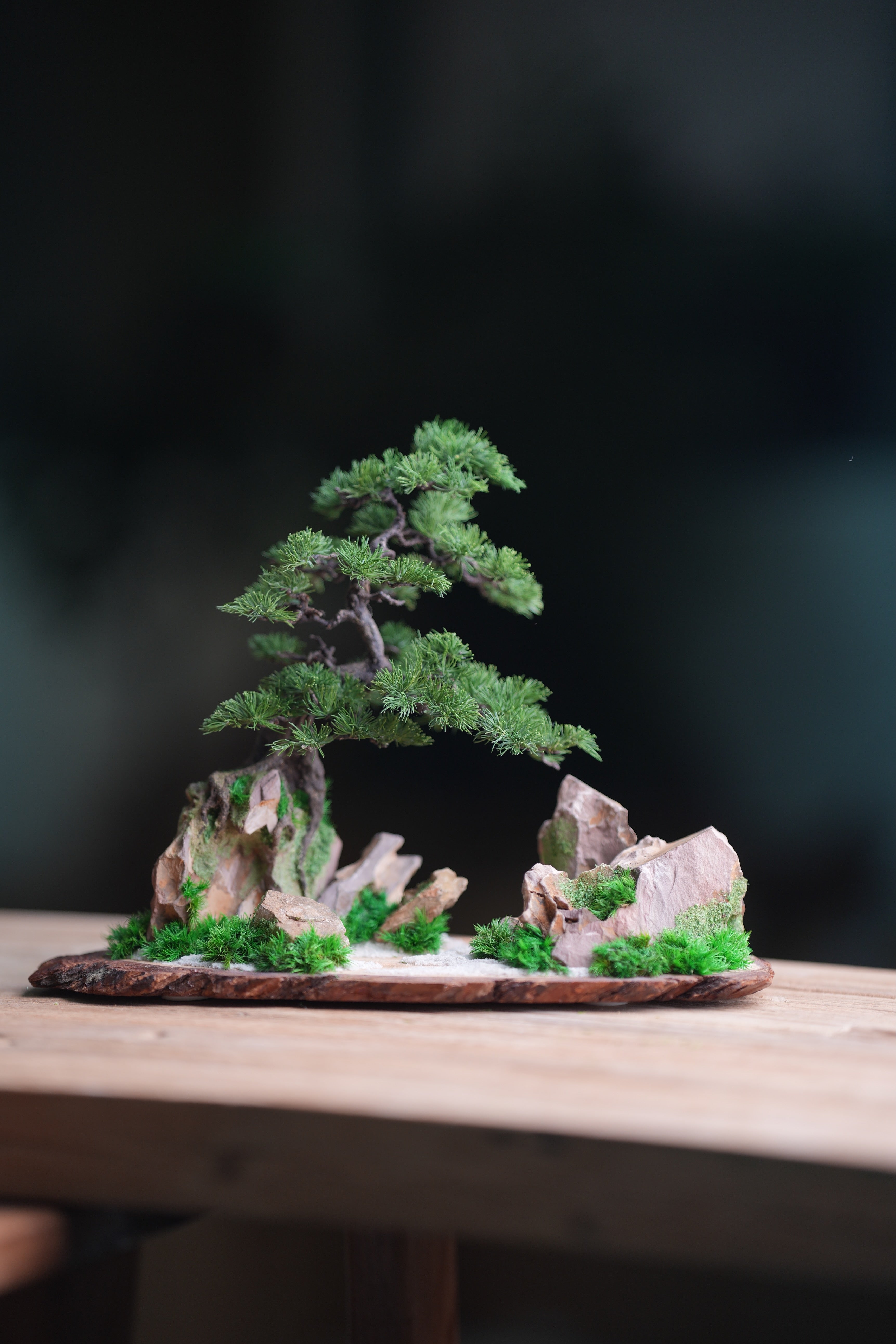 Iron Song of the Earth - Cultured Garden (Preserved Plant + Metal Craft)