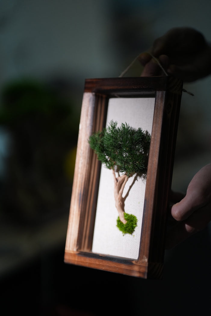 A Small Tree in the East - Wall Hanging edition (Preserved Plants)