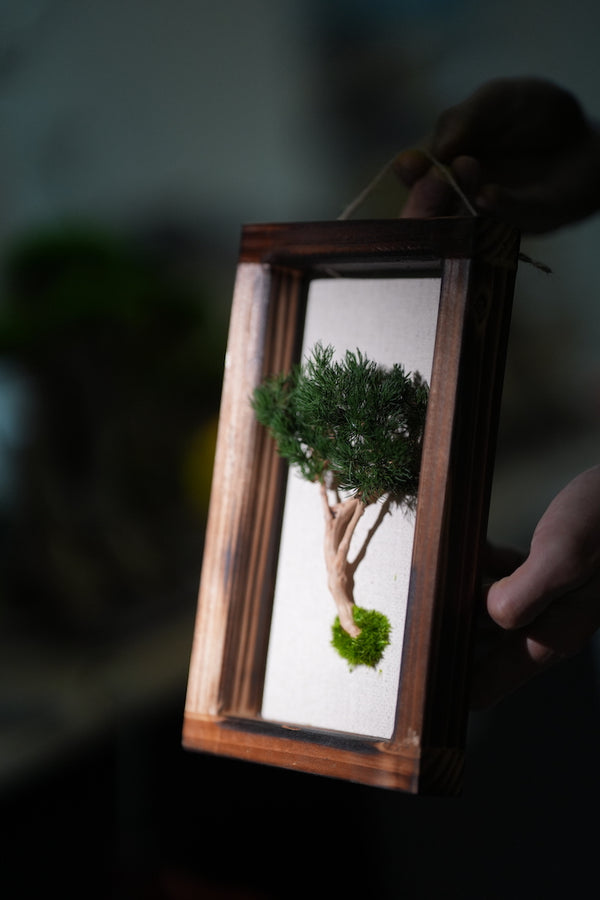 A Small Tree in the East - Wall Hanging edition (Preserved Plants)