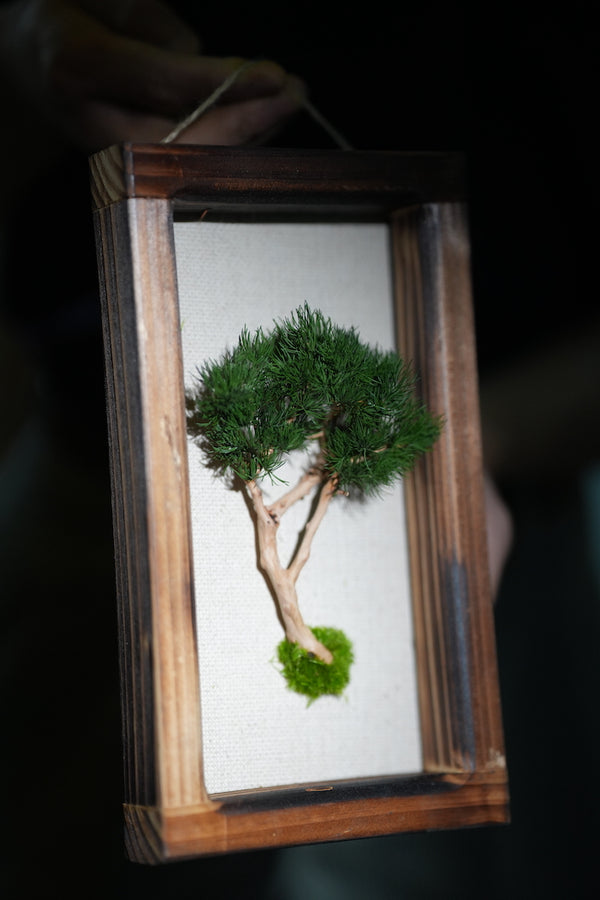 A Small Tree in the East - Wall Hanging edition (Preserved Plants)