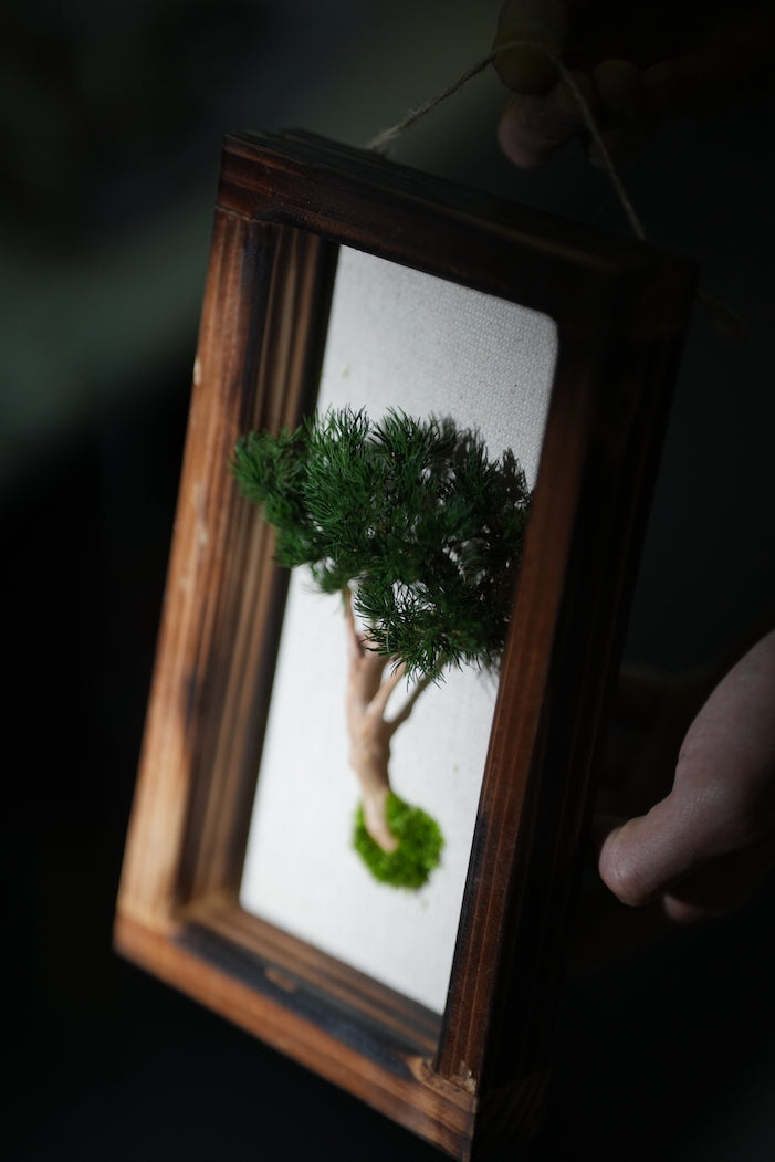 A Small Tree in the East - Wall Hanging edition (Preserved Plants)