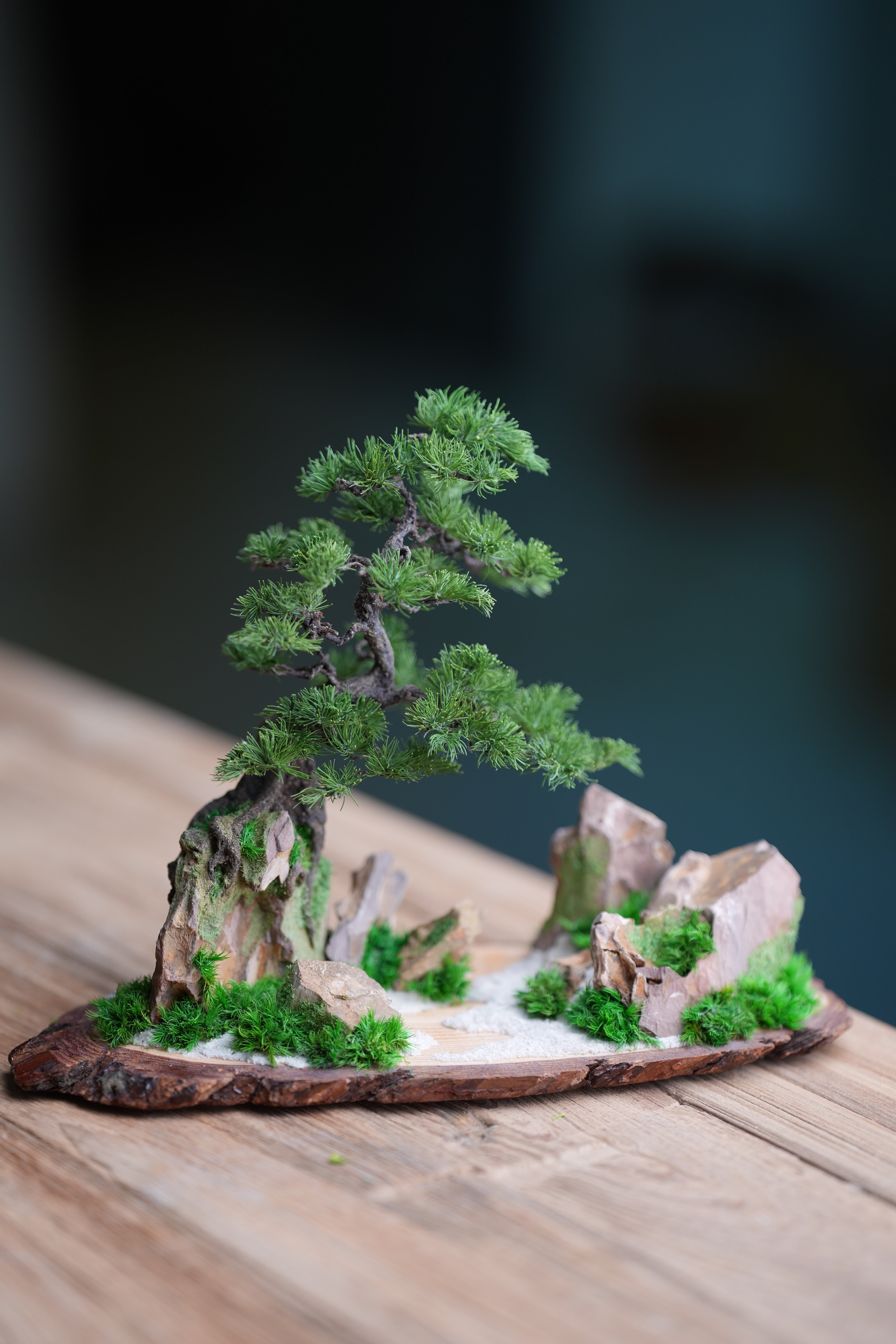 Iron Song of the Earth - Cultured Garden (Preserved Plant + Metal Craft)