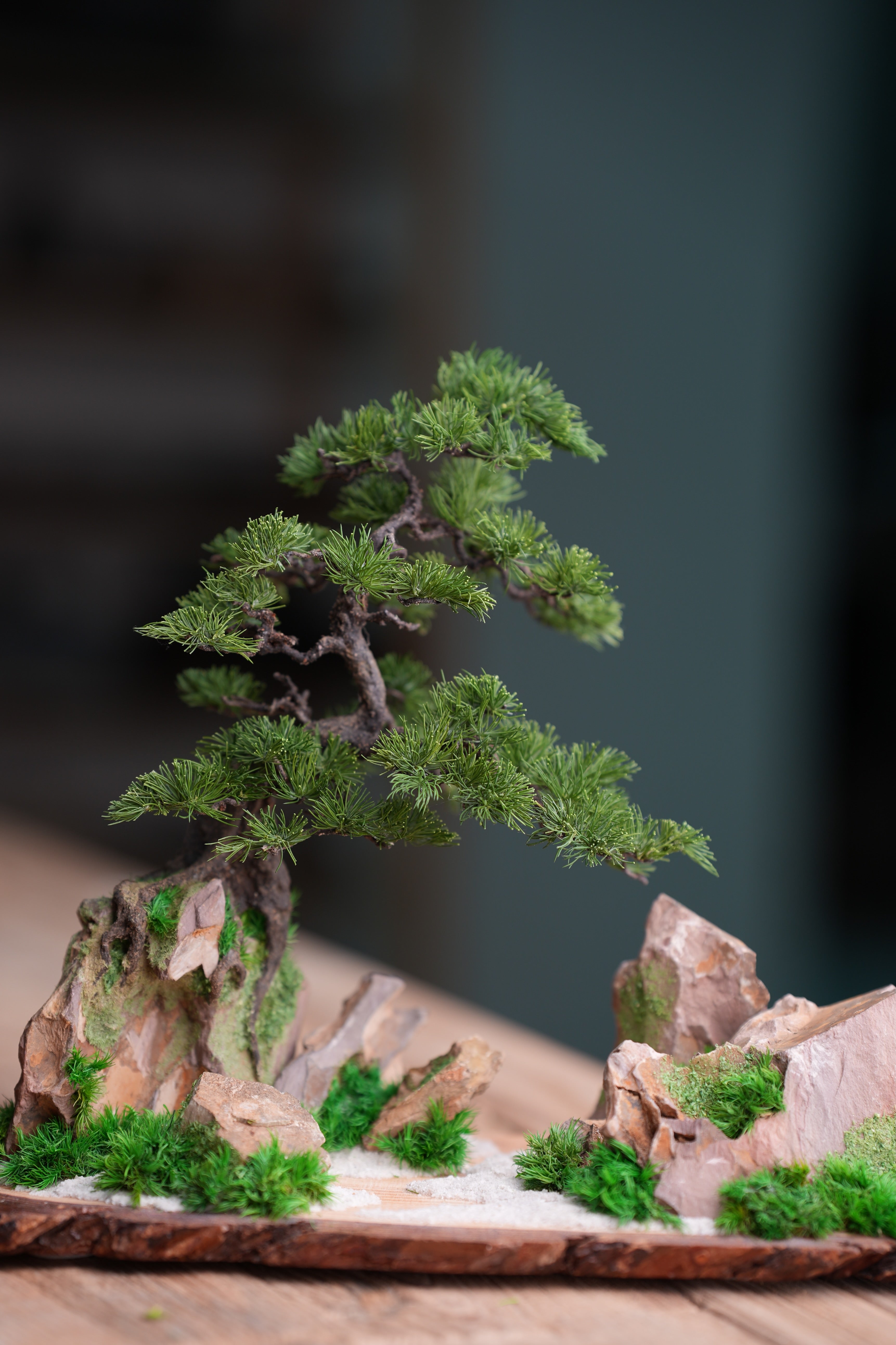 Iron Song of the Earth - Cultured Garden (Preserved Plant + Metal Craft)