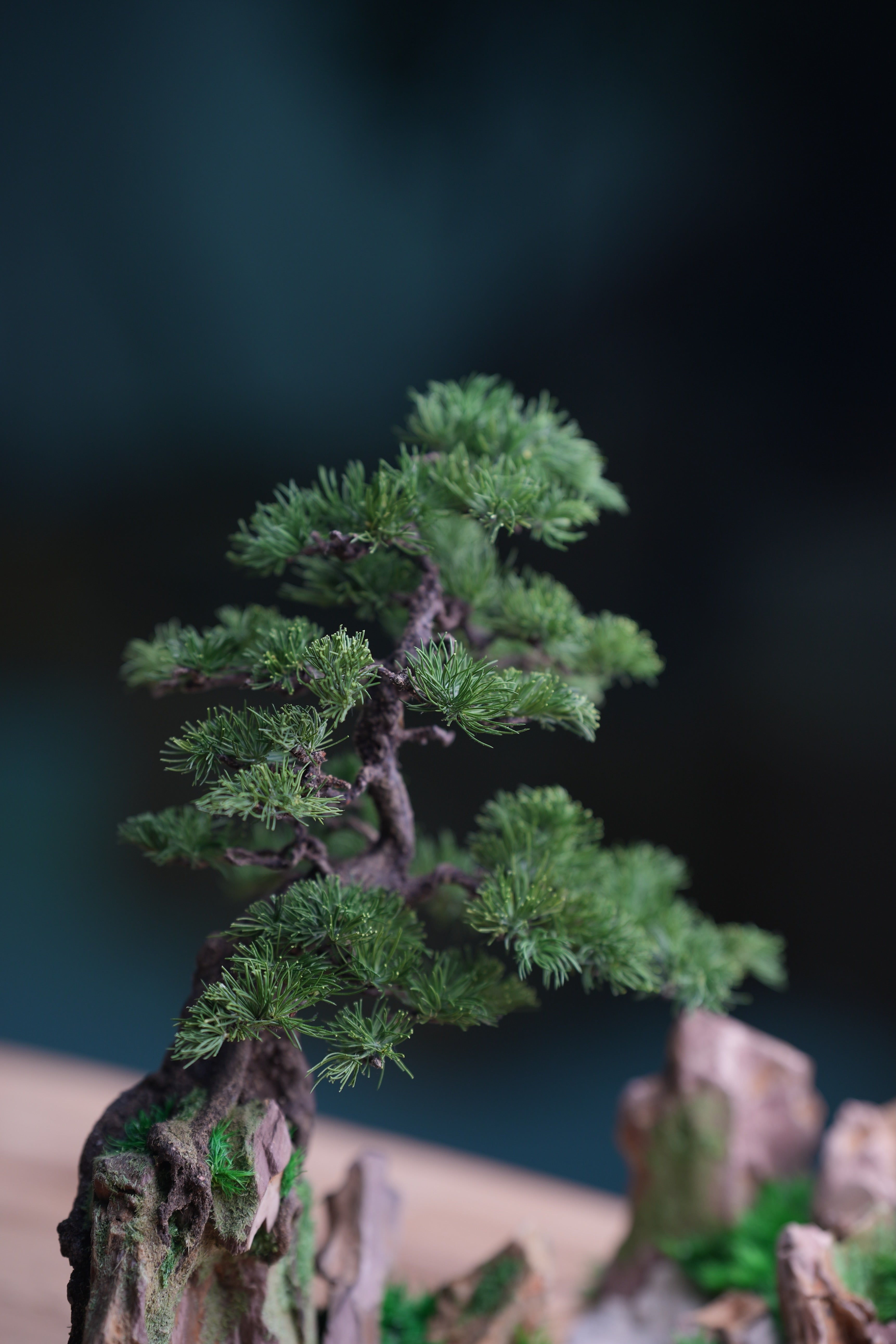 Iron Song of the Earth - Cultured Garden (Preserved Plant + Metal Craft)