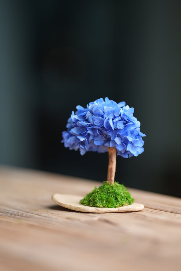A Small Tree in the East - Blue Dream (Preserved Plants)
