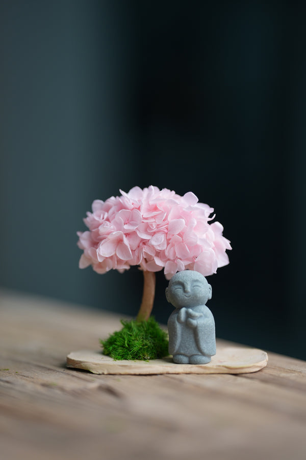 A Small Tree in the East - Sakura - Journeyman (Preserved Plants)