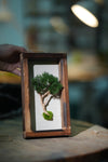 A Small Tree in the East - Wall Hanging edition (Preserved Plants)