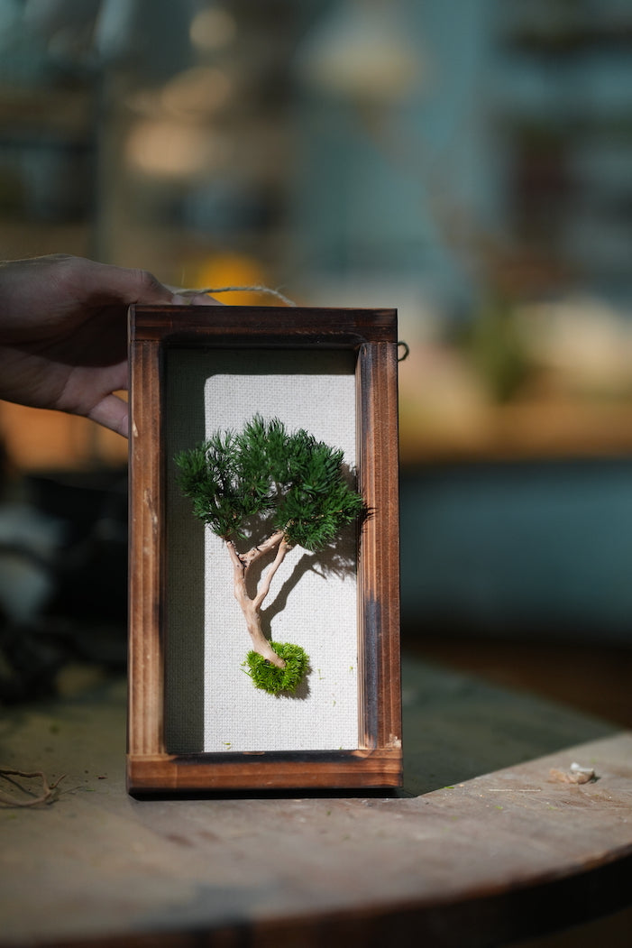 A Small Tree in the East - Wall Hanging edition (Preserved Plants)