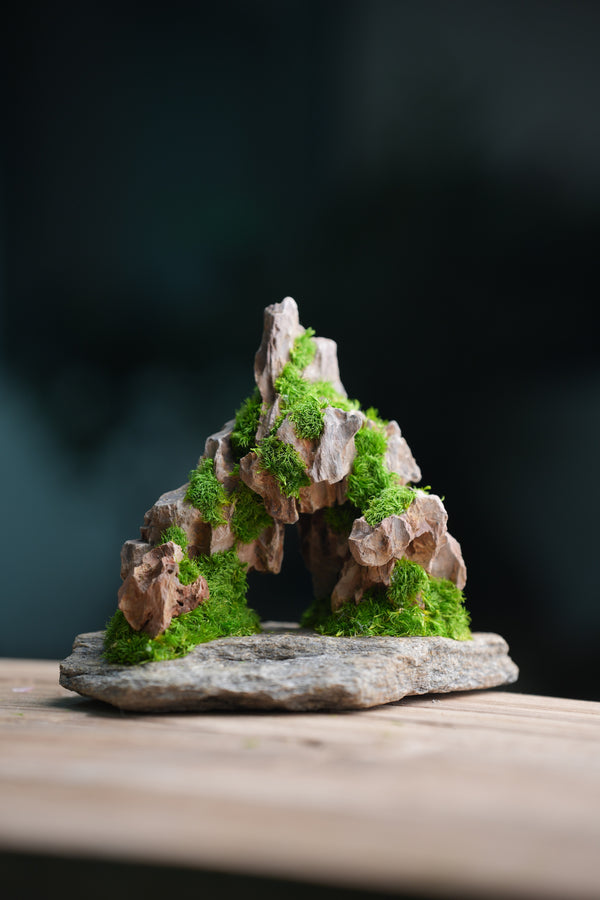 Angel's Landing - Smaller version (Preserved Plants)