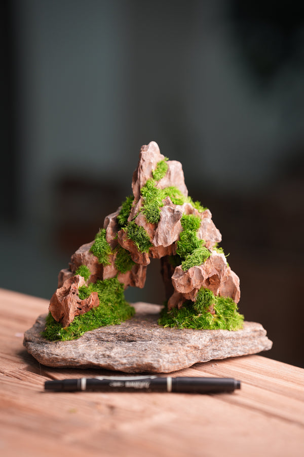Angel's Landing - Smaller version (Preserved Plants)