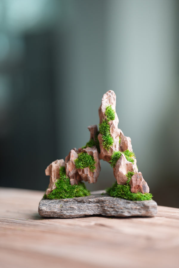 Angel's Landing - Smaller version (Preserved Plants)