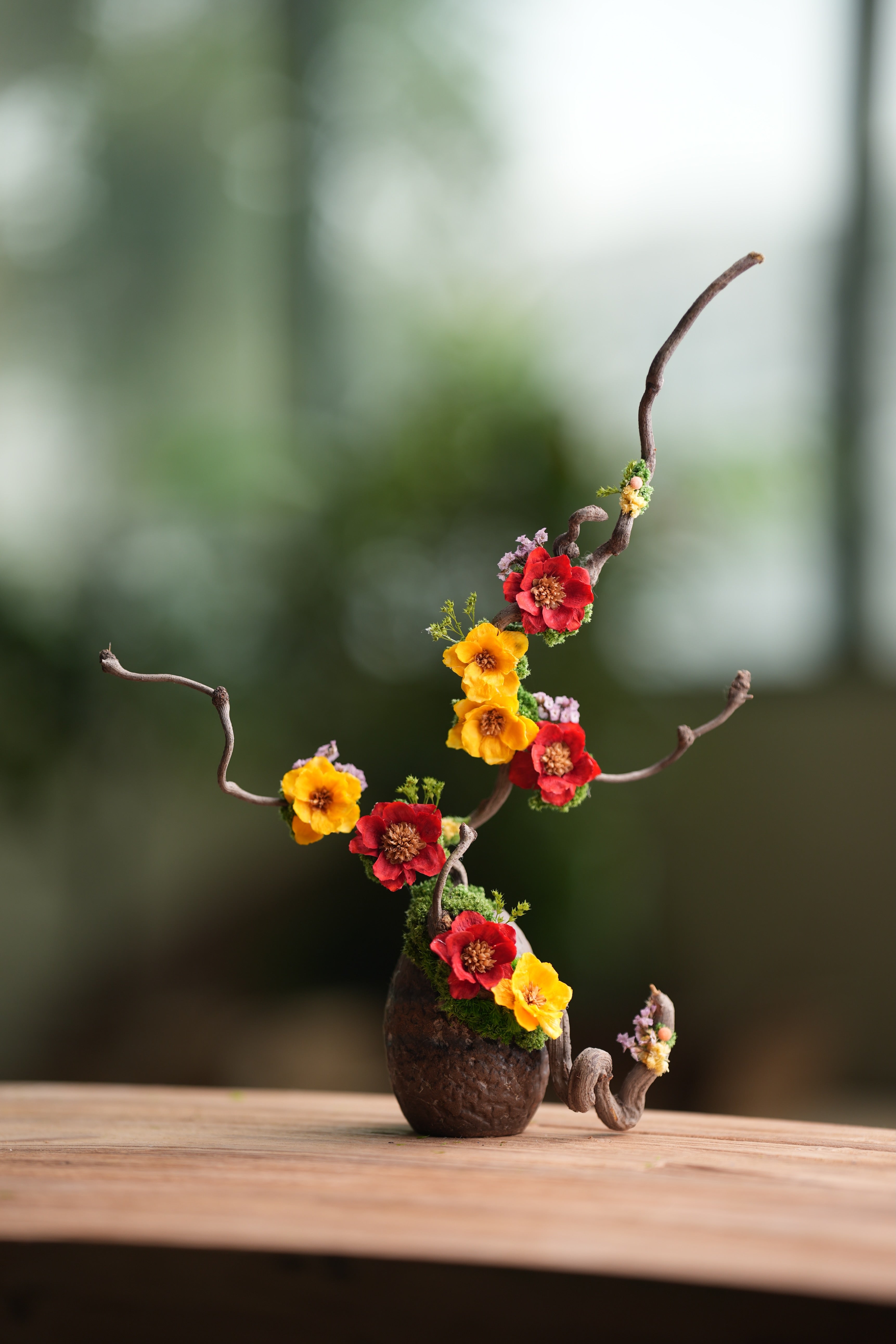 Children of the Forest - Vibrant (Preserved Plants)