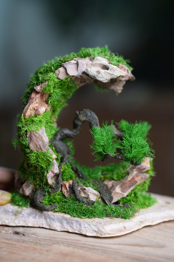 Iron Song of the Earth - Half Moon (Preserved Plant + Metal Craft)