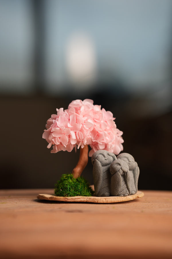 A Small Tree in the East - Sakura - Trio of No Evil (Preserved Plants)