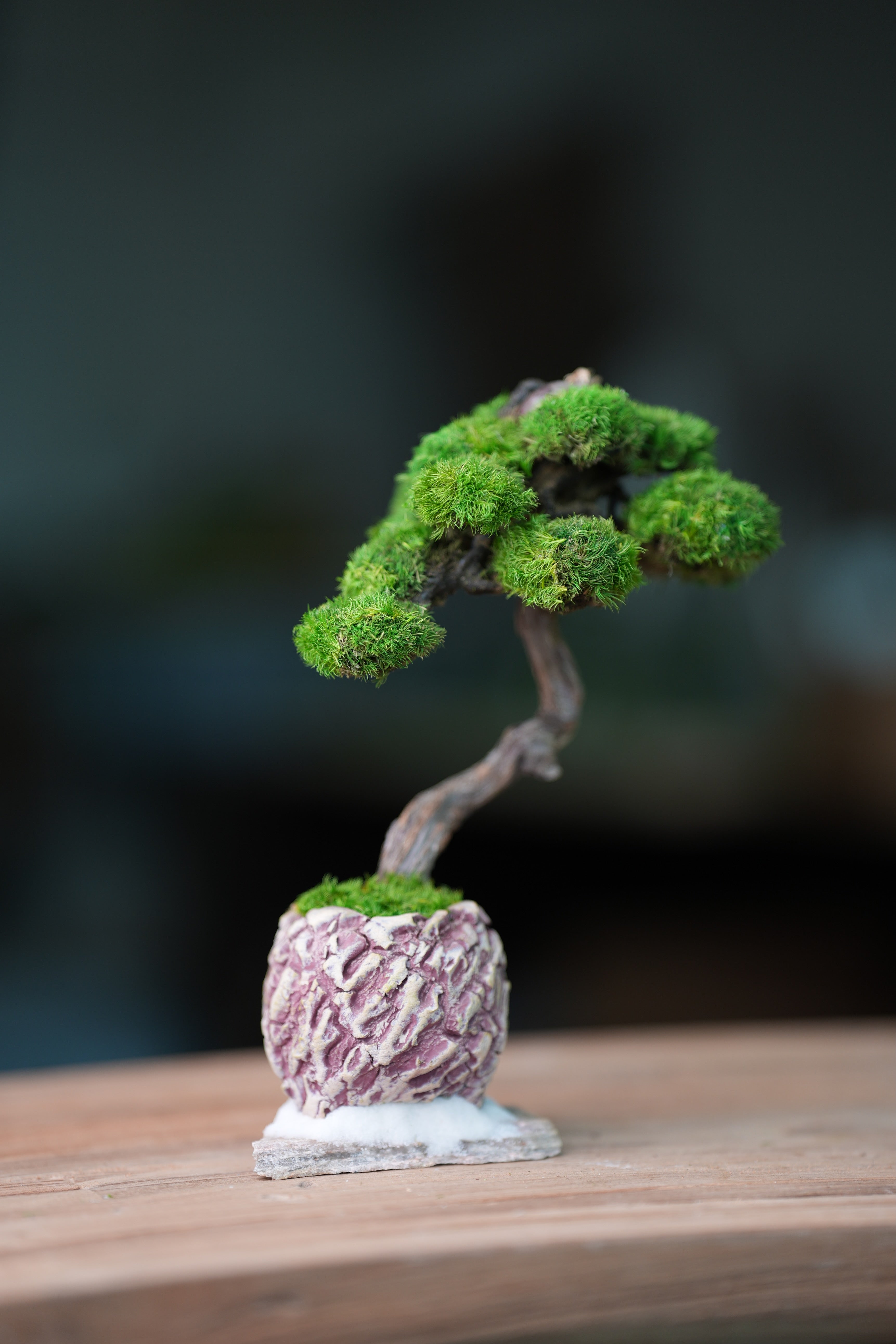 Rosewood - Teaman's Retreat (Preserved Plants)