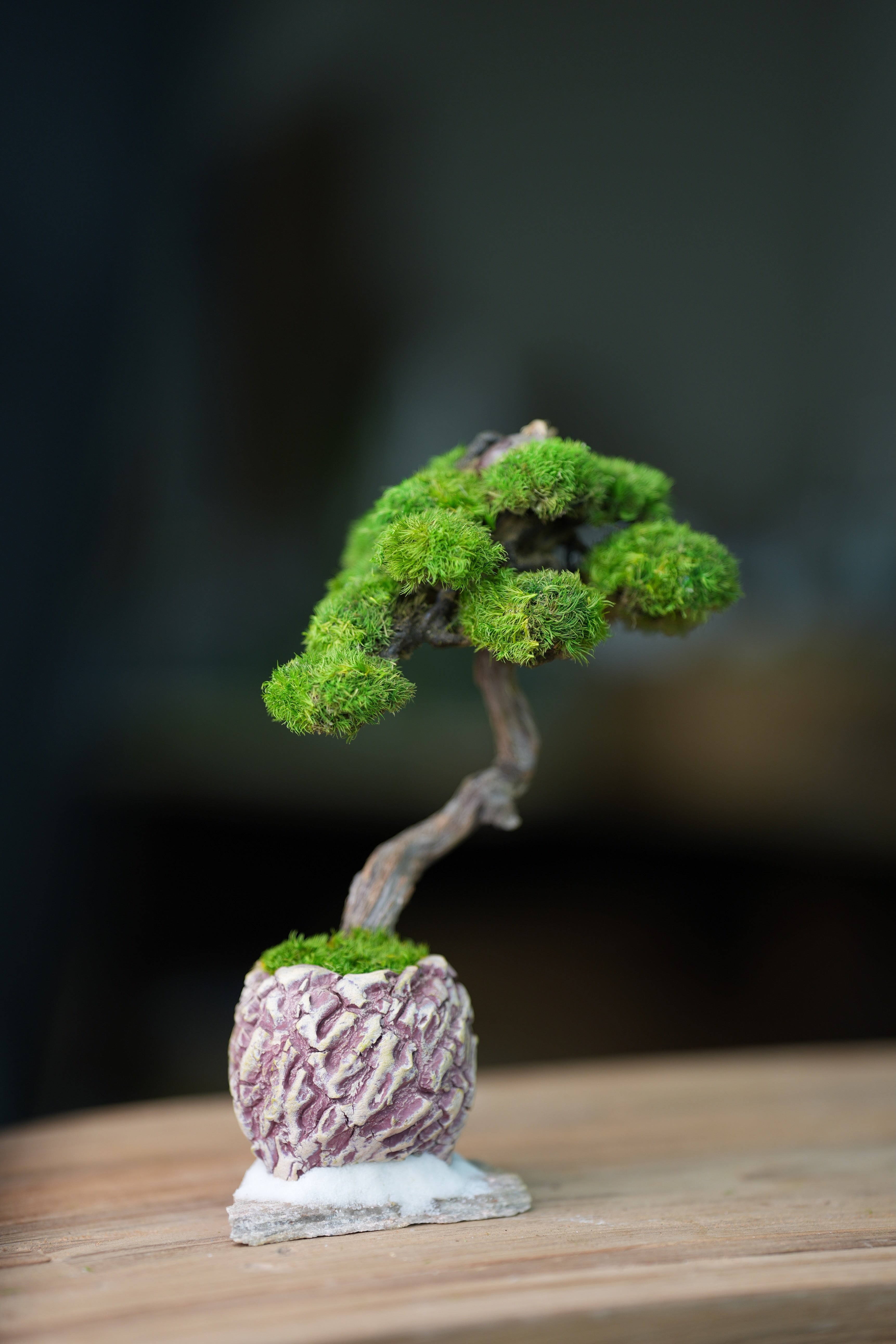 Rosewood - Teaman's Retreat (Preserved Plants)