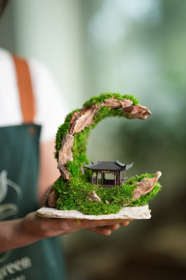 Half-Moon Bay - Crescent - Cultured Garden - Smaller (Preserved Plants)