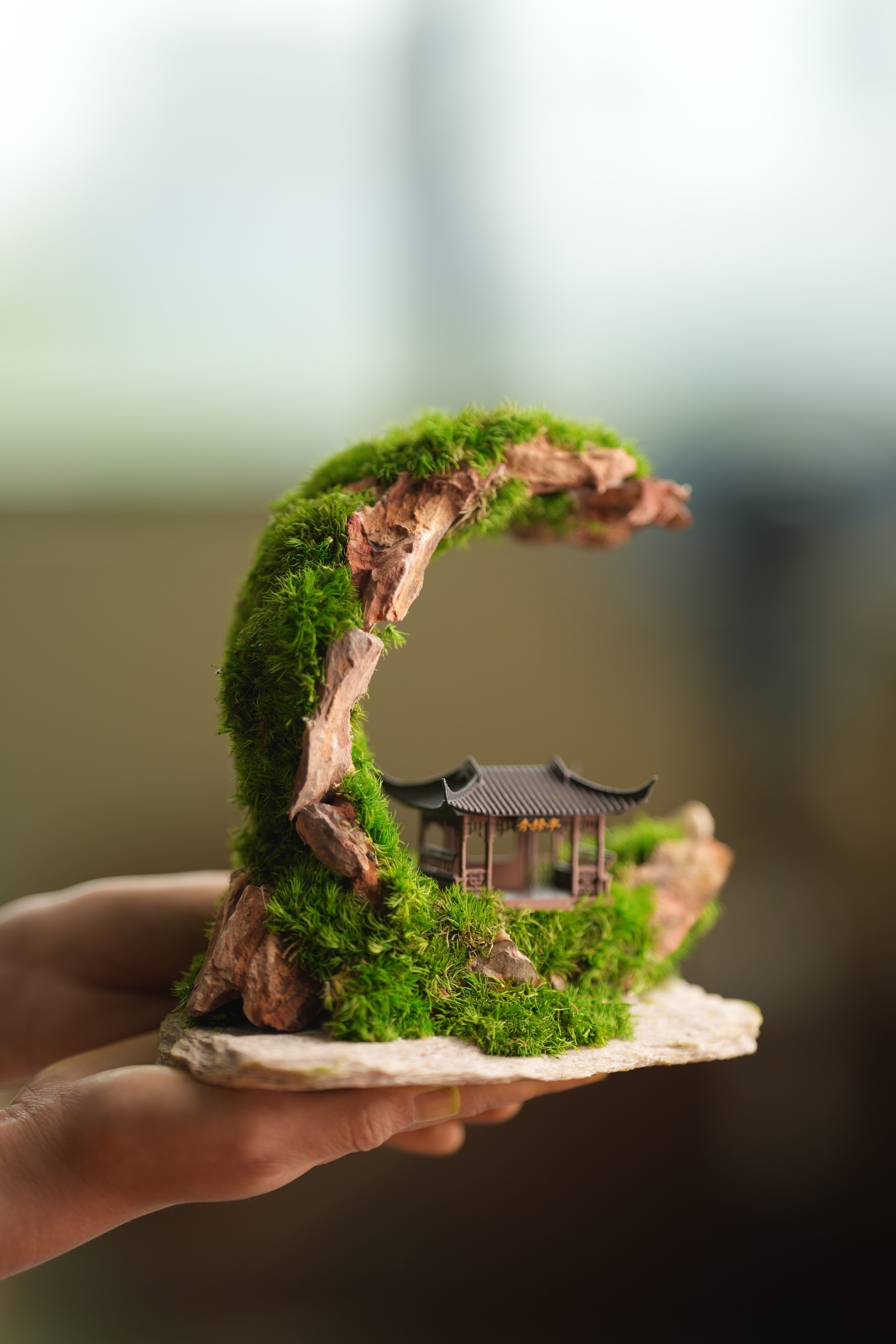 Half-Moon Bay - Crescent - Cultured Garden - Smaller (Preserved Plants)