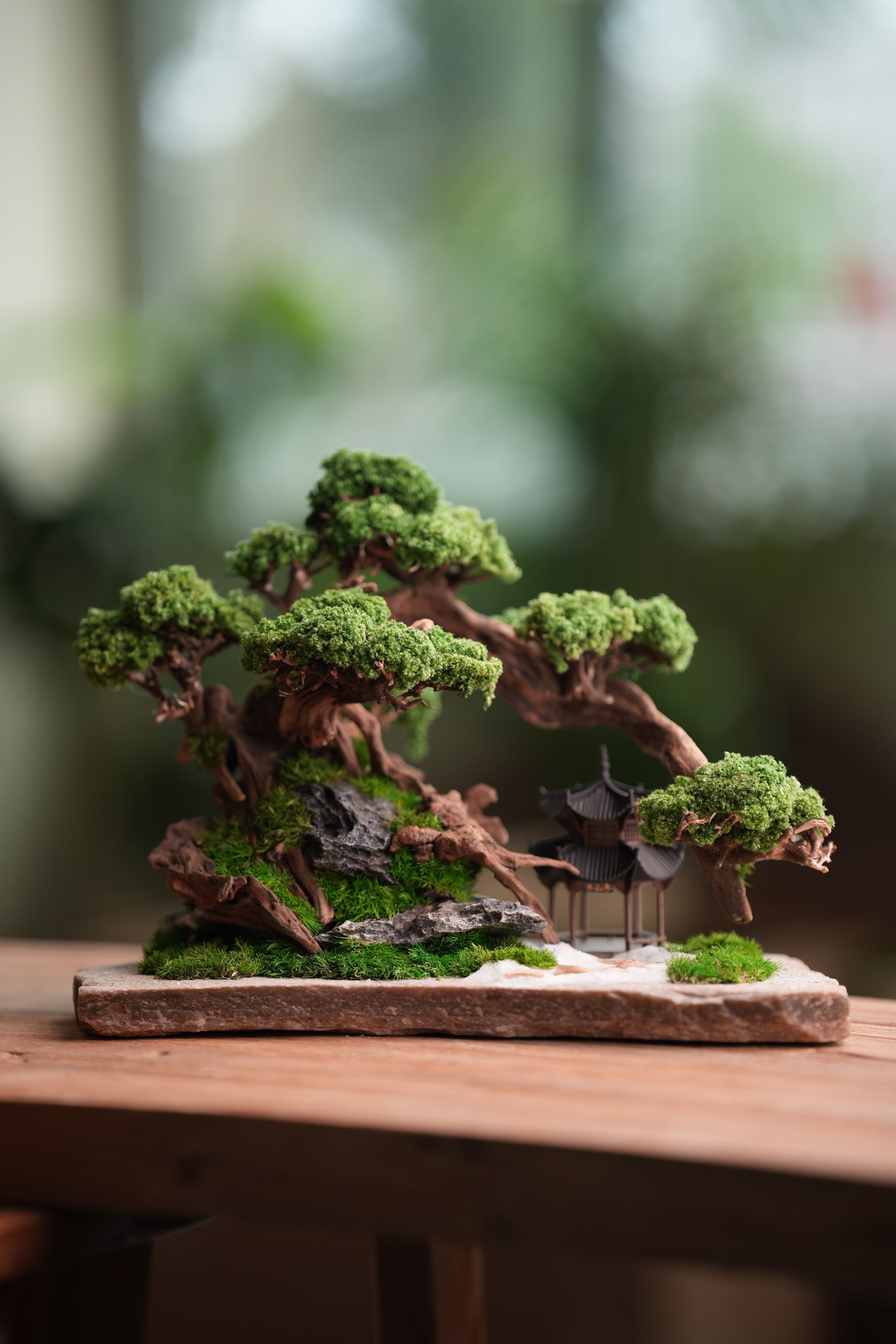 Greenwood - A Path in the East (Preserved Plants)