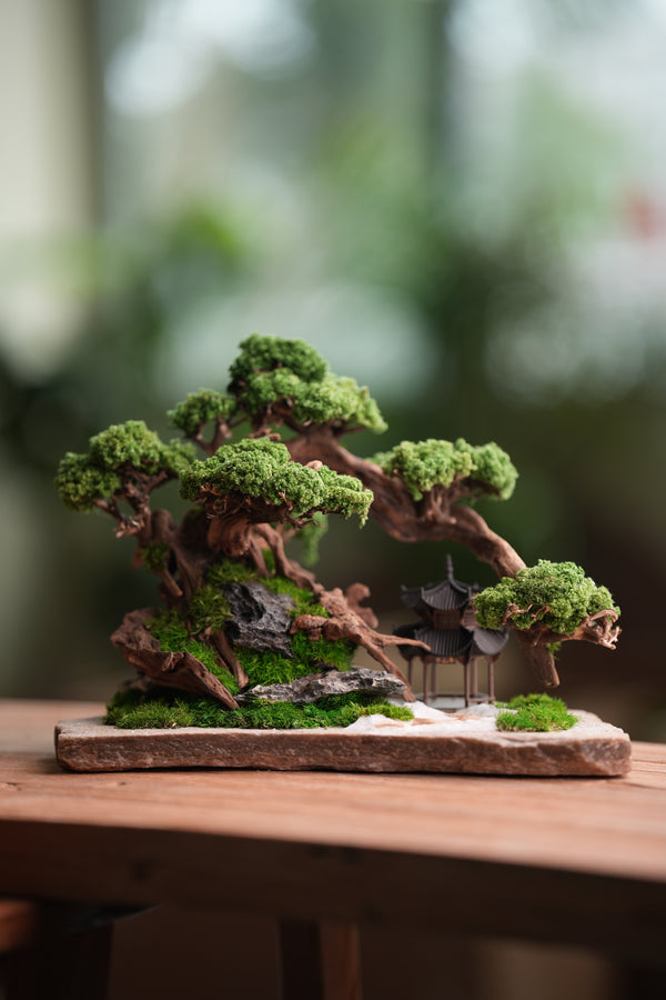 Greenwood - A Path in the East (Preserved Plants)