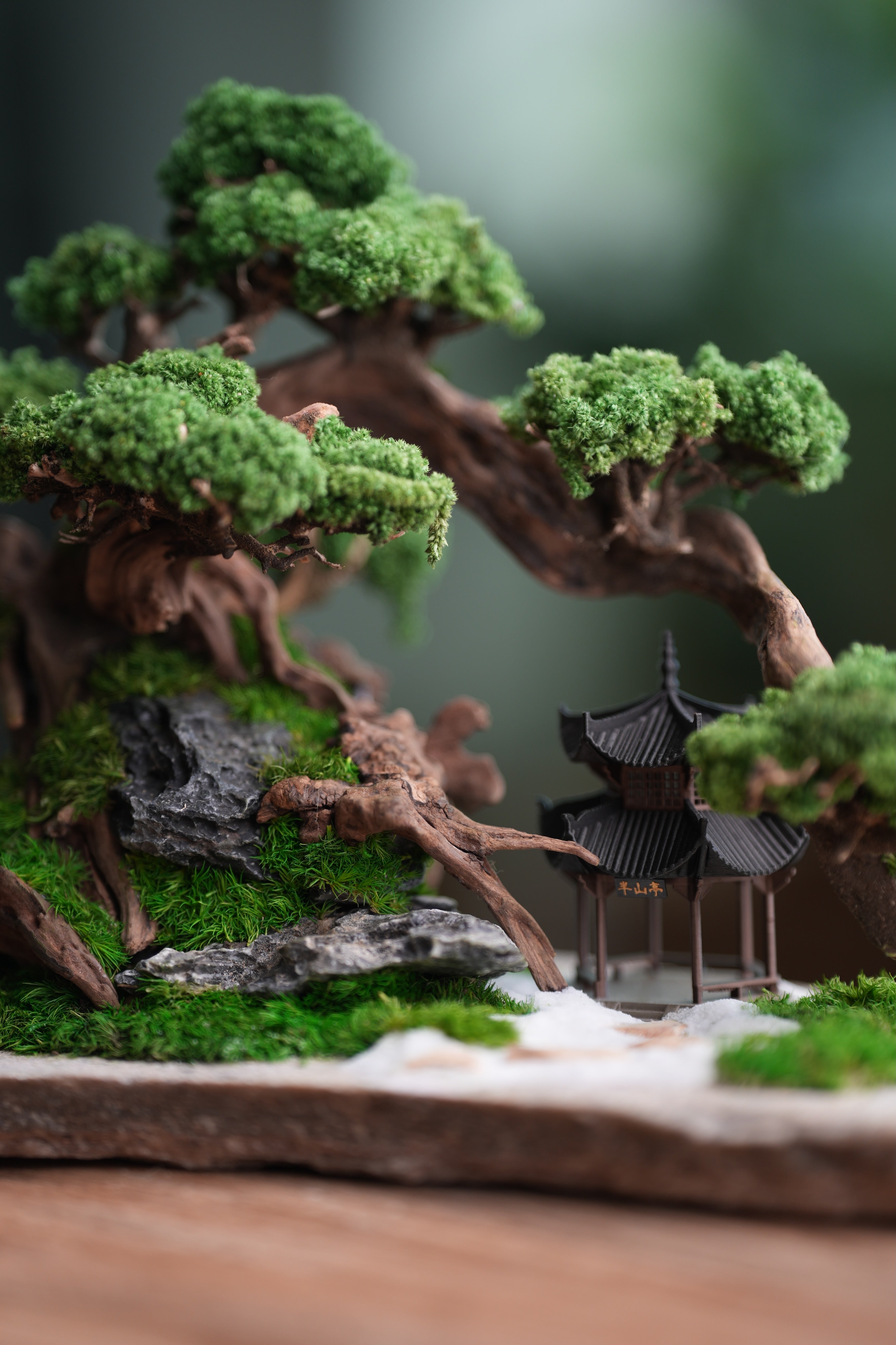 Greenwood - A Path in the East (Preserved Plants)