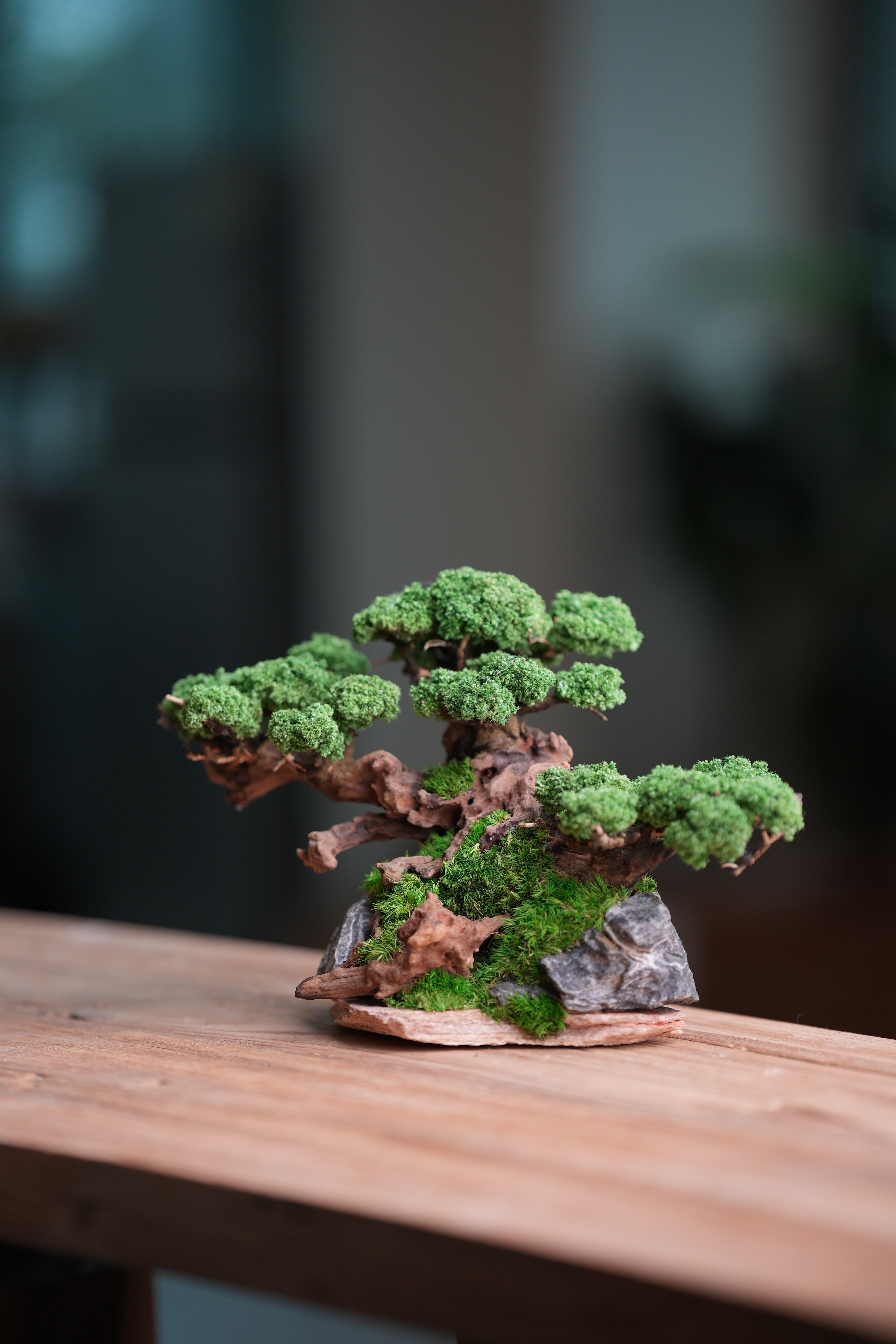 Greenwood - Citadel (Preserved Plants)