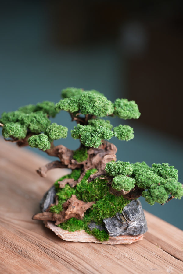 Greenwood - Citadel (Preserved Plants)