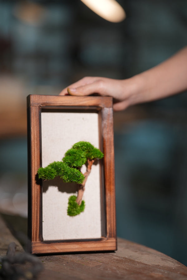 A Small Tree in the East - Wall Hanging edition (Preserved Plants)