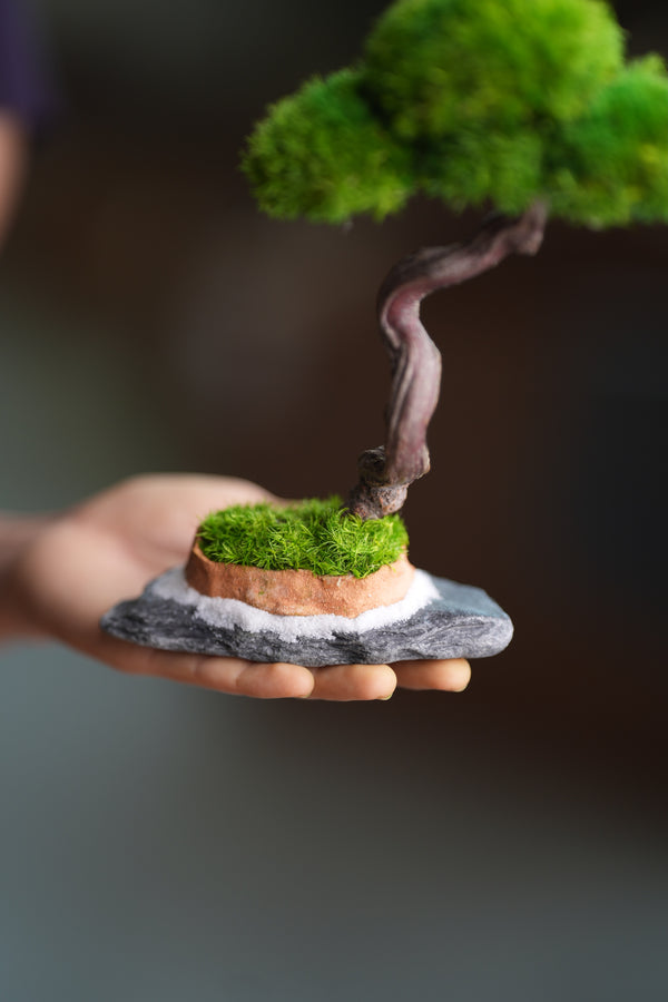 Light in the Garden - Rosewood (Preserved Plants)