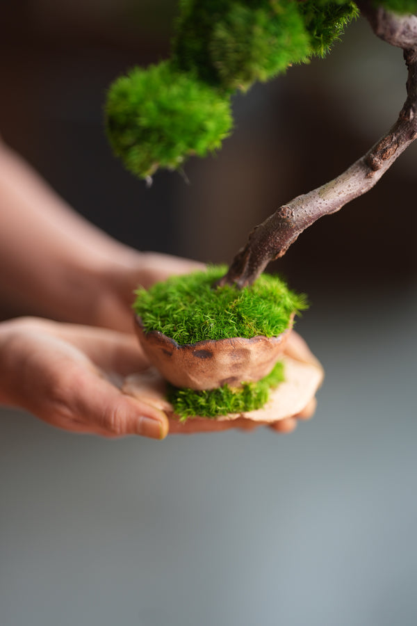 Rosewood (Preserved Plants)