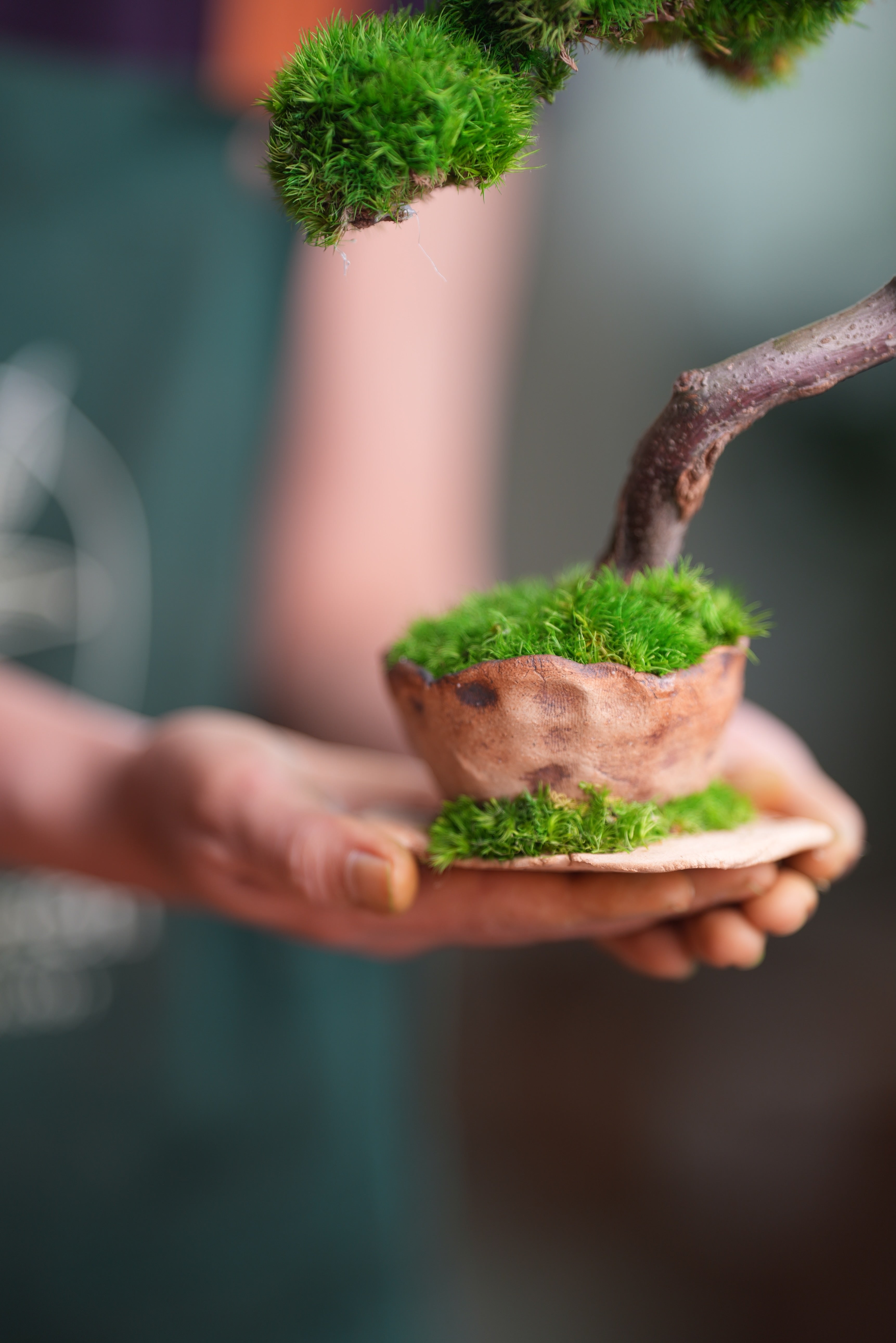 Rosewood (Preserved Plants)