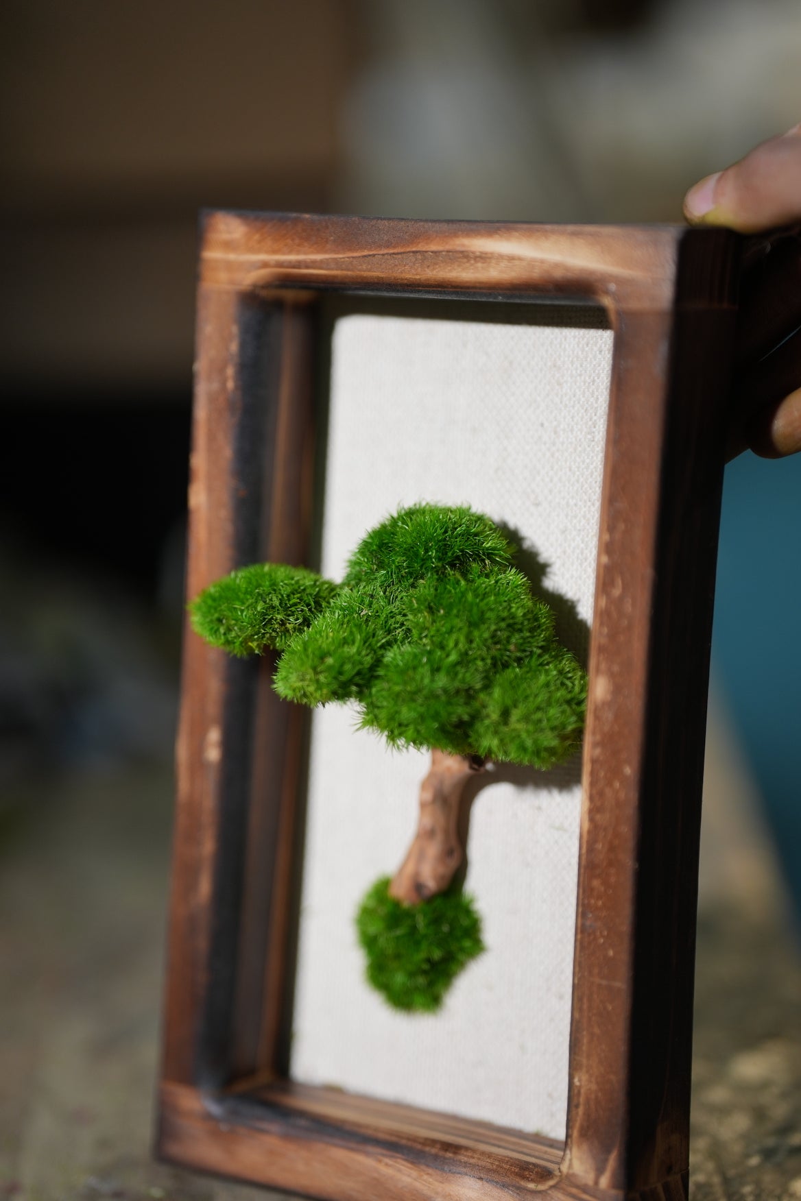 A Small Tree in the East - Wall Hanging edition (Preserved Plants)