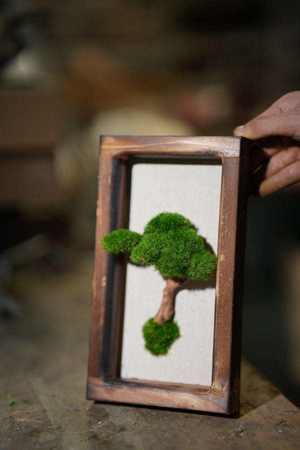 A Small Tree in the East - Wall Hanging edition (Preserved Plants)